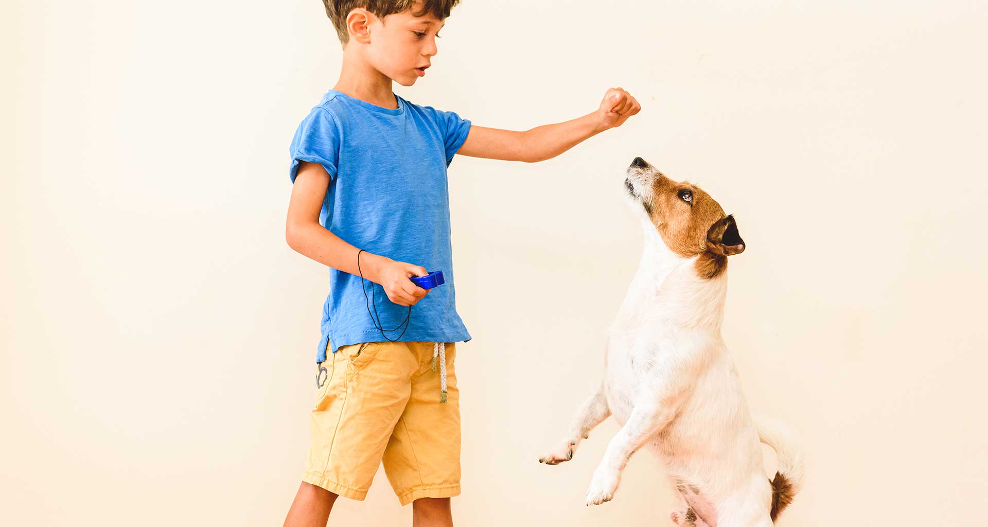 Puppy School Training
